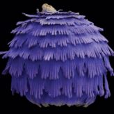 Microscopic Botanical Photography